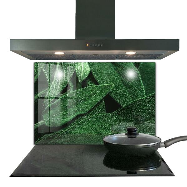 Nástenný panel  Zelené listy po daždi