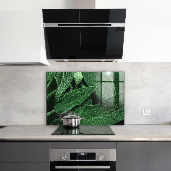 Nástenný panel  Zelené listy po daždi
