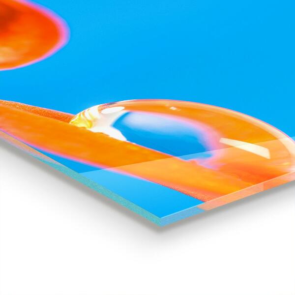 Nástenný panel  Pomarančový kvet