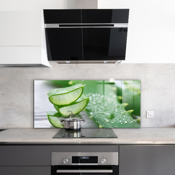 Nástenný panel  Aloe rastlina aloe vera