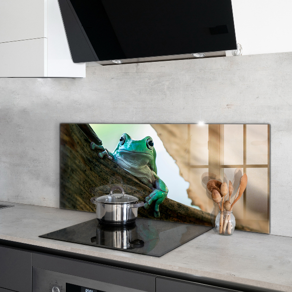 Sklenený obklad do kuchyne Zvedavá žaba na liste