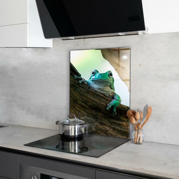Sklenený obklad do kuchyne Zvedavá žaba na liste