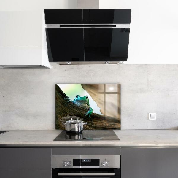 Sklenený obklad do kuchyne Zvedavá žaba na liste