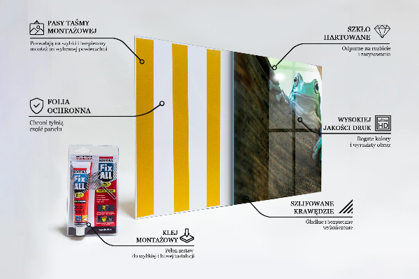 Sklenený obklad do kuchyne Zvedavá žaba na liste