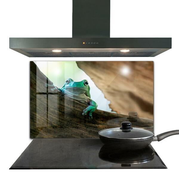 Sklenený obklad do kuchyne Zvedavá žaba na liste