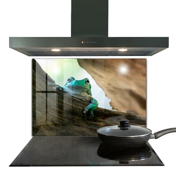 Sklenený obklad do kuchyne Zvedavá žaba na liste