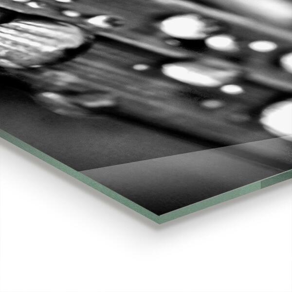 Nástenný panel  List rosa čierna a biela