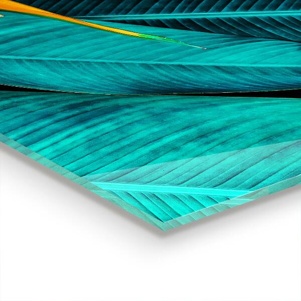 Nástenný panel  Tropický exotický kvet