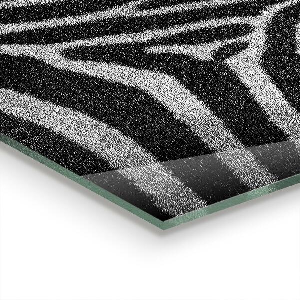 Nástenný panel  Zebra skin african ext