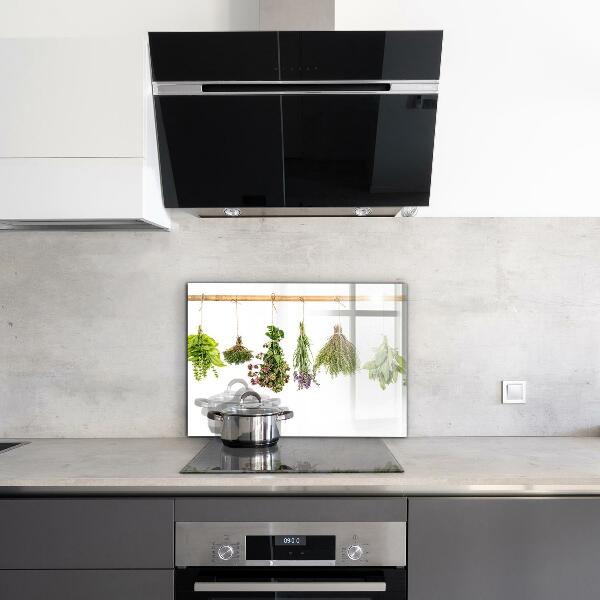 Sklenený obklad do kuchyne Sušené bylinky sila prírody