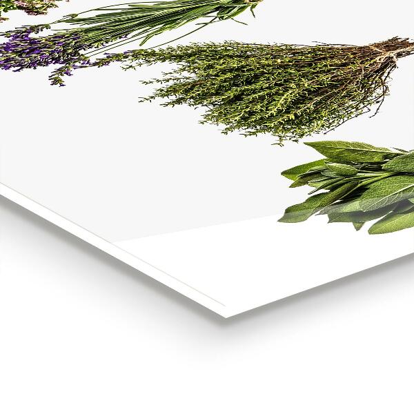 Sklenený obklad do kuchyne Sušené bylinky sila prírody