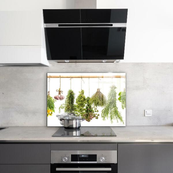 Sklenený obklad do kuchyne Sušené bylinky bylinný liek