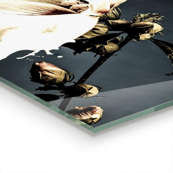 Nástenný panel  Abstraktný biely kvet