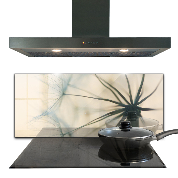 Nástenný panel  Krásna jemná púpava