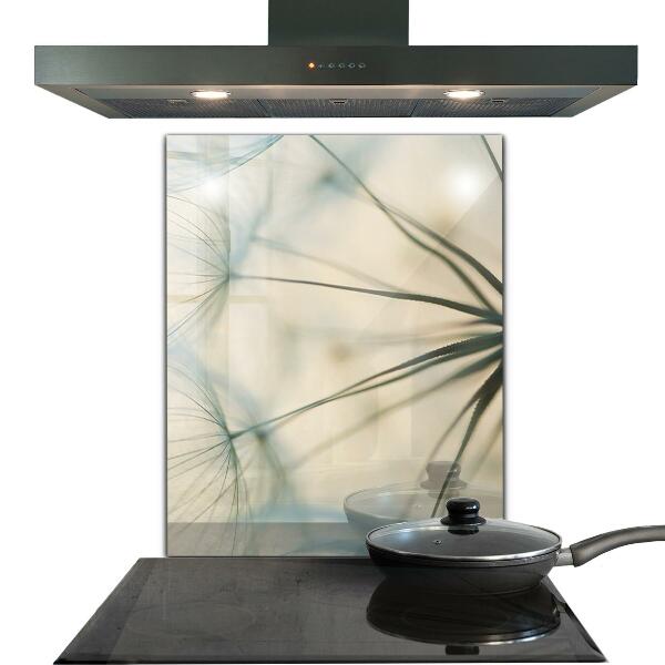 Nástenný panel  Krásna jemná púpava