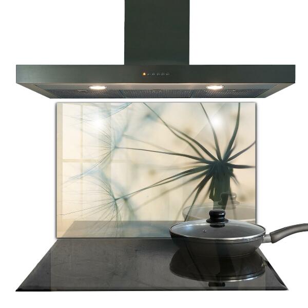 Nástenný panel  Krásna jemná púpava