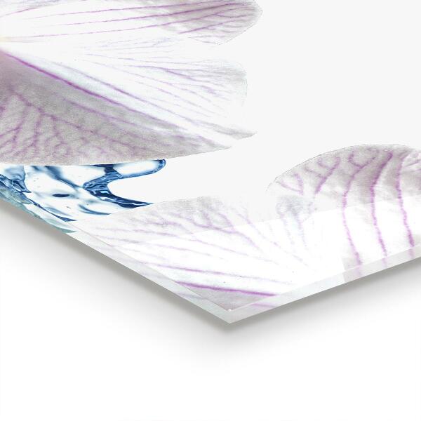 Nástenný panel  Orchidea pokropená vodou