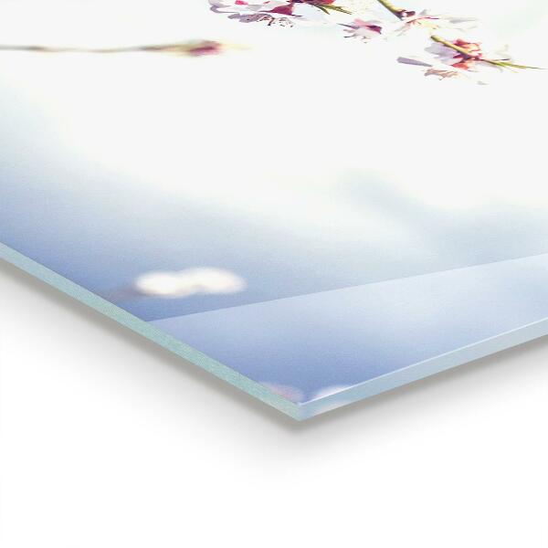 Nástenný panel  Jemné ružové kvety