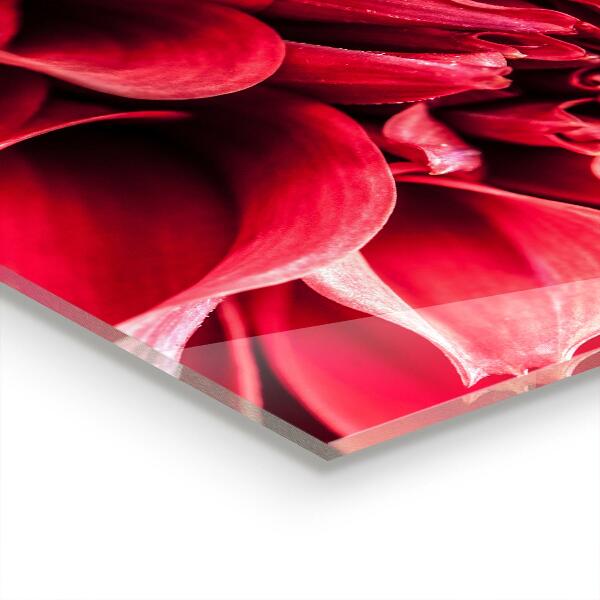 Nástenný panel  Energetická sila kvetov prírody