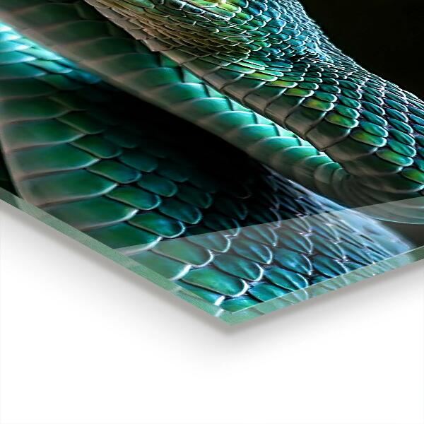 Sklenený obklad do kuchyne Snake wildlife
