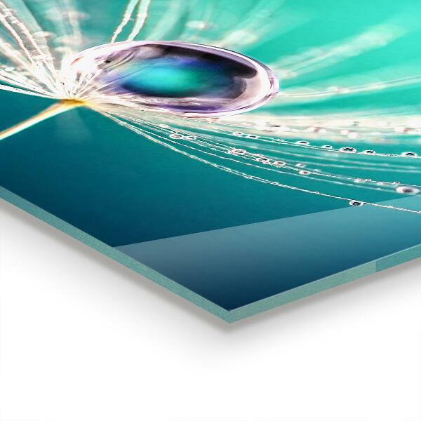 Nástenný panel  Púpava s kvapkou rosy