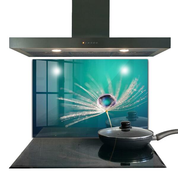 Nástenný panel  Púpava s kvapkou rosy