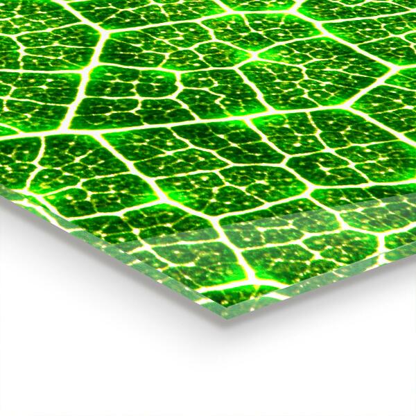 Nástenný panel  Sila zelenej botaniky