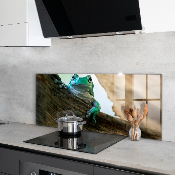 Sklenený obklad do kuchyne Portrét africkej žaby