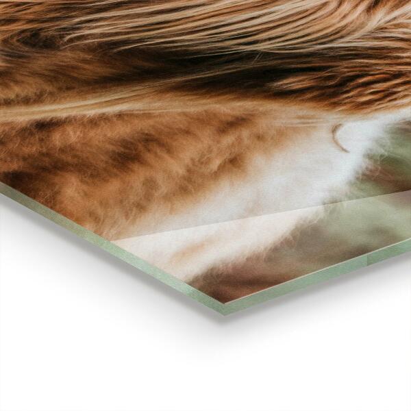 Sklenený obklad do kuchyne Krava v štýle highland cottage