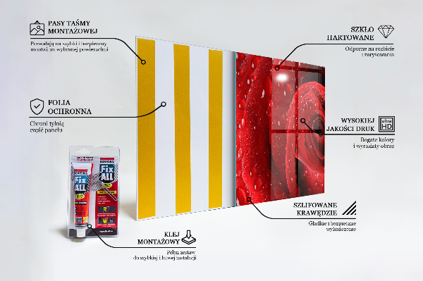 Sklenený obklad do kuchyne Kvapky rosy na červenej ruži