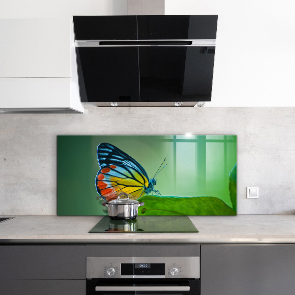 Sklenený obklad do kuchyne Motýľ spočíva na liste