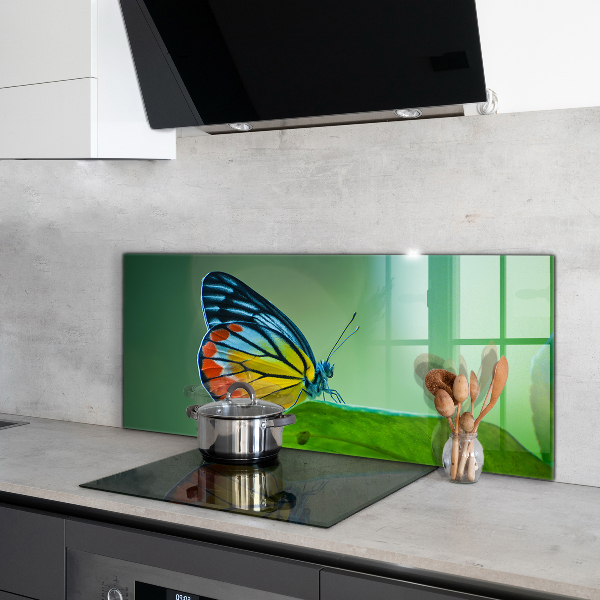 Sklenený obklad do kuchyne Motýľ spočíva na liste