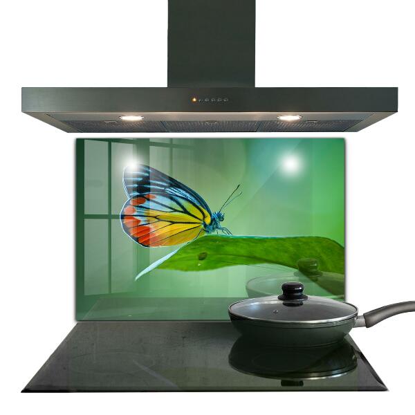 Sklenený obklad do kuchyne Motýľ spočíva na liste