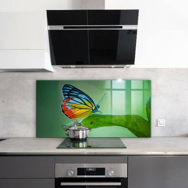 Sklenený obklad do kuchyne Motýľ spočíva na liste