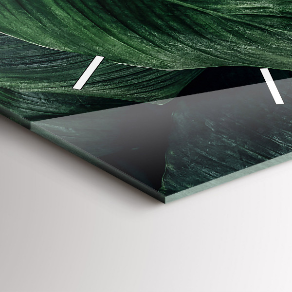 Vertikálne hodiny Tropické monštrum