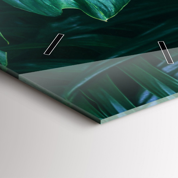 Vertikálne hodiny Tropická stránka prírody