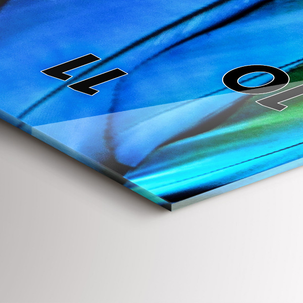 Vertikálne hodiny Farebné vtáčie krídla