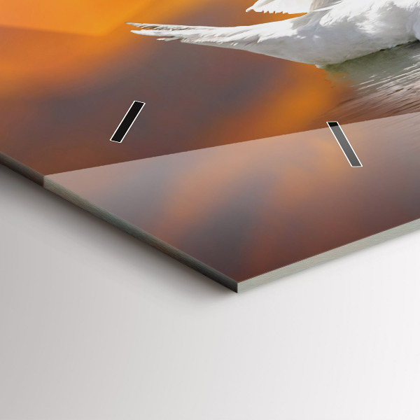 Horizontálne hodiny Zamilované labute