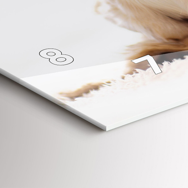 Horizontálne hodiny Spiaca mačka a pes