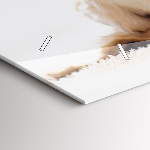 Horizontálne hodiny Spiaca mačka a pes