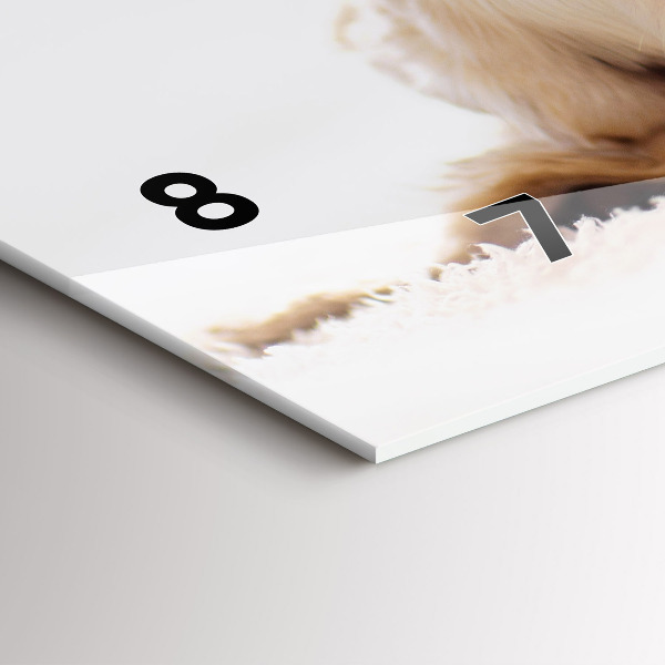 Horizontálne hodiny Spiaca mačka a pes