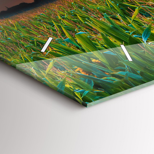 Horizontálne hodiny Slnečnice na lúke