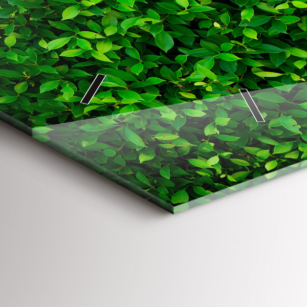 Horizontálne hodiny Živý plot odchádza