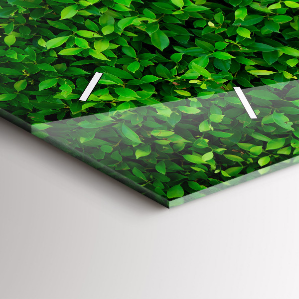 Horizontálne hodiny Živý plot odchádza