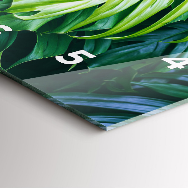 Štvorcové hodiny Tropická stránka prírody