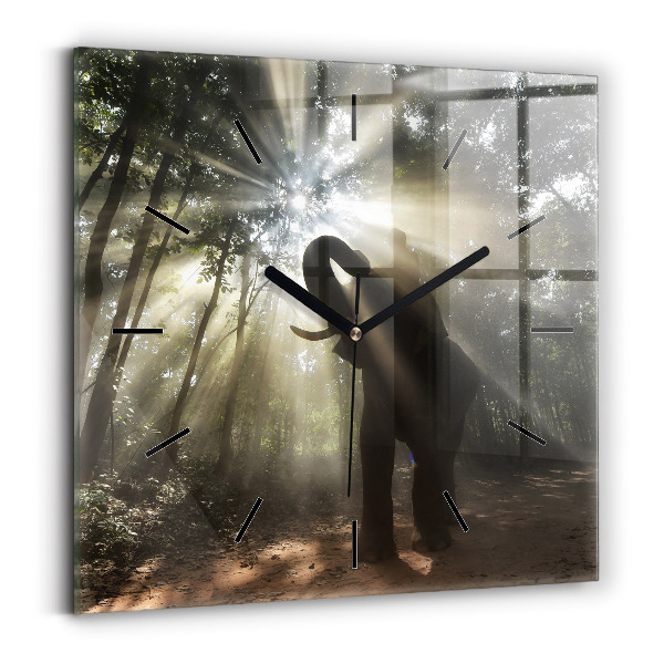 Štvorcové hodiny Slon v džungli