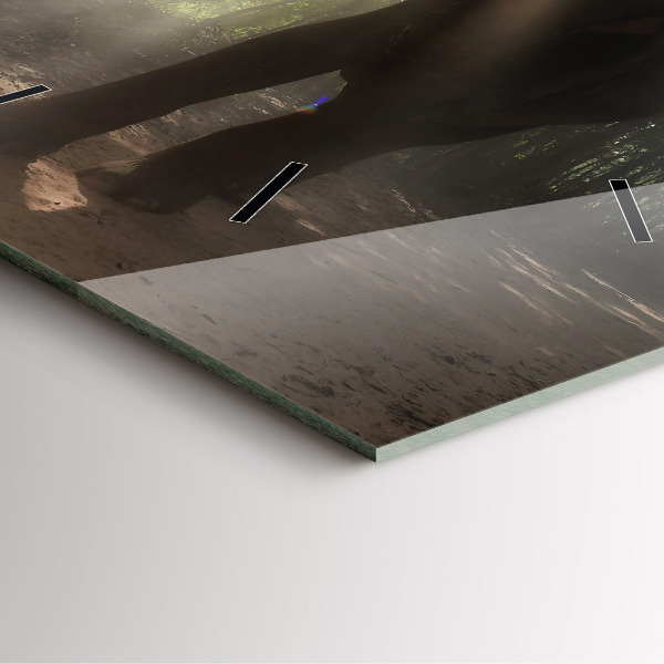 Štvorcové hodiny Slon v džungli