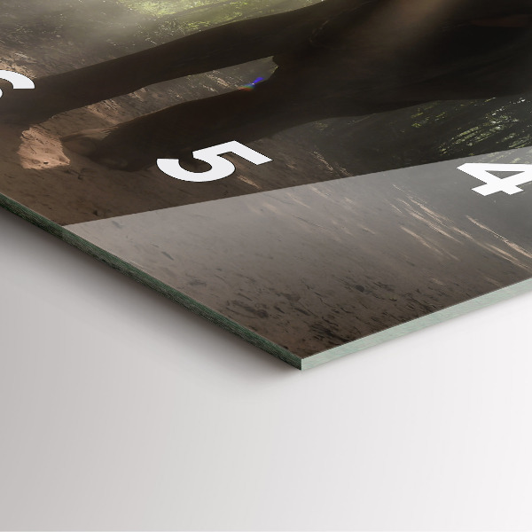 Štvorcové hodiny Slon v džungli