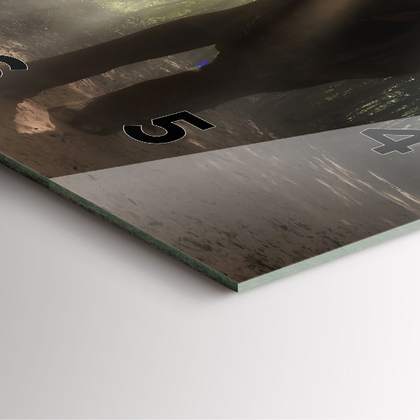 Štvorcové hodiny Slon v džungli