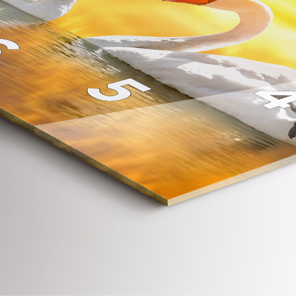 Štvorcové hodiny Zamilované labute